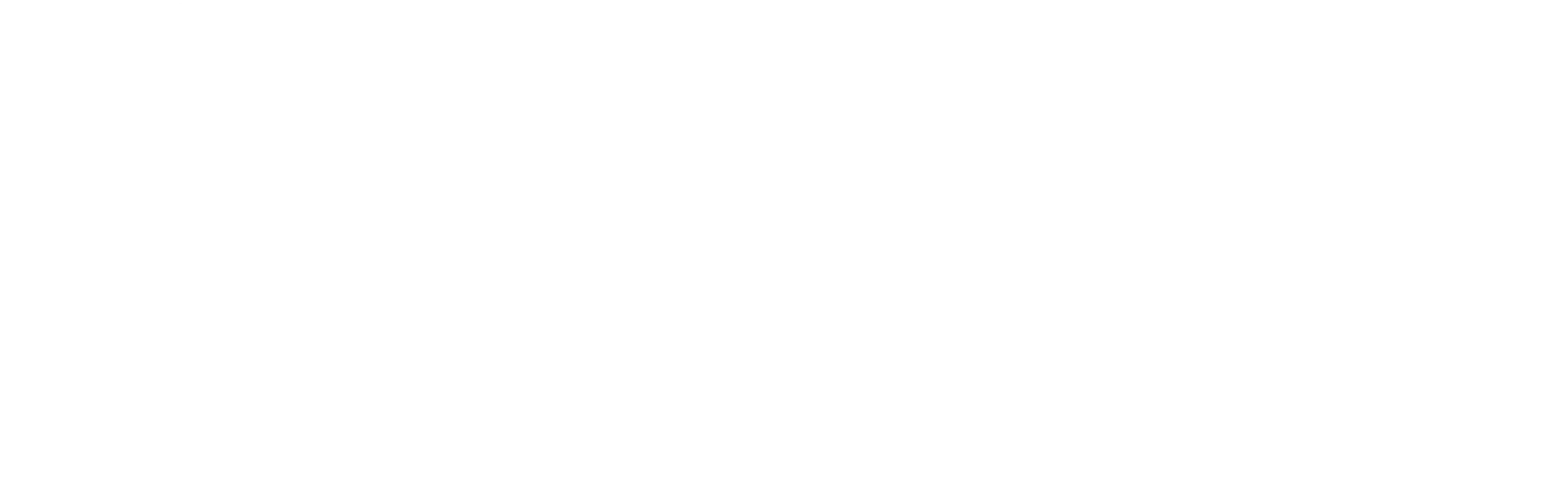 Gran Fondo Zona Sur